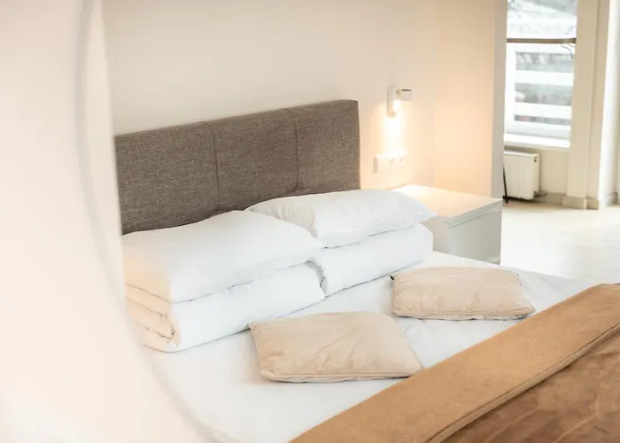 11b Sveciu Namai Palanga